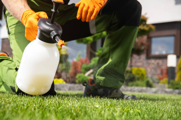 Best Affordable Pest Control Services  in Mcgraw, NY