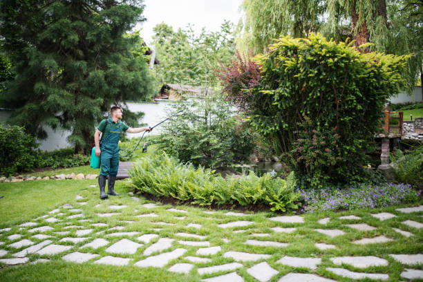 Best Residential Pest Control  in Mcgraw, NY