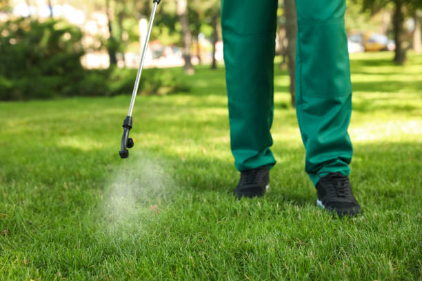 Best Pest Control Near Me  in Mcgraw, NY