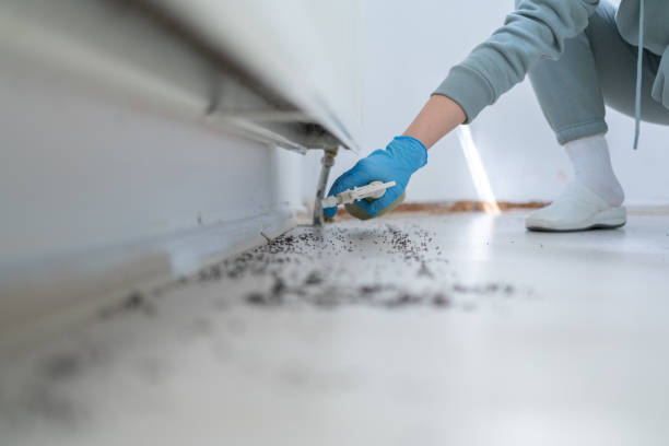 Best Pest Control Near Me in Mcgraw, NY